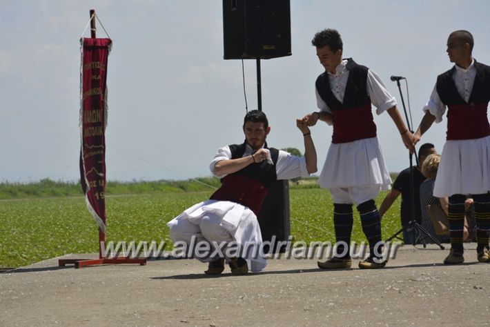 alexandriamou.gr_trikala28.5.2018073